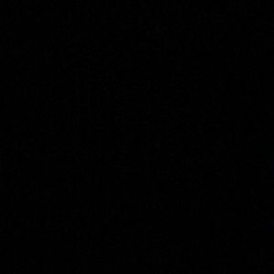 Meet your Posher, Landon